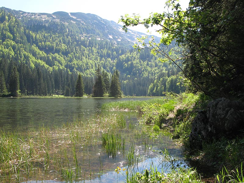 Obersee